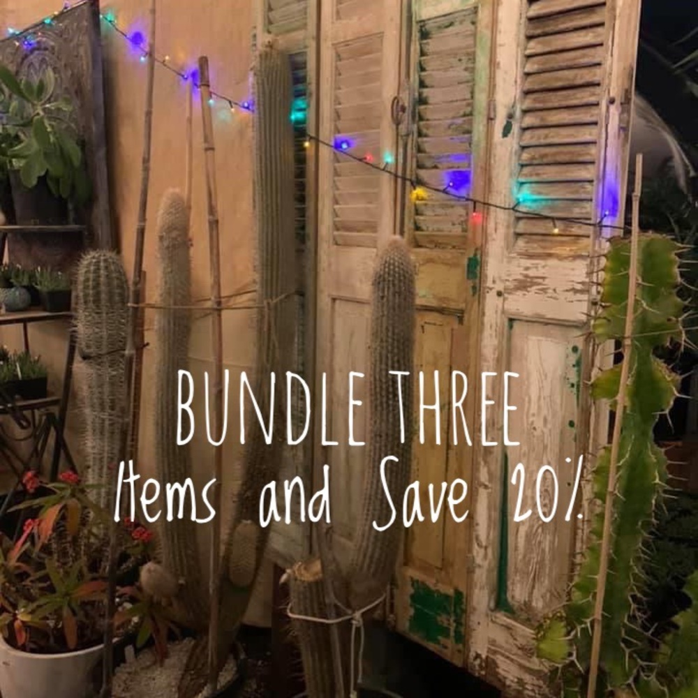 Bundle Three Items and Save 20%!